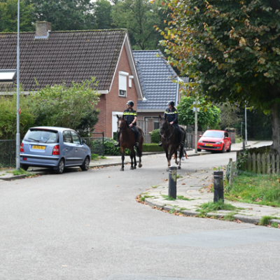 Dsc 4317 Normaal
